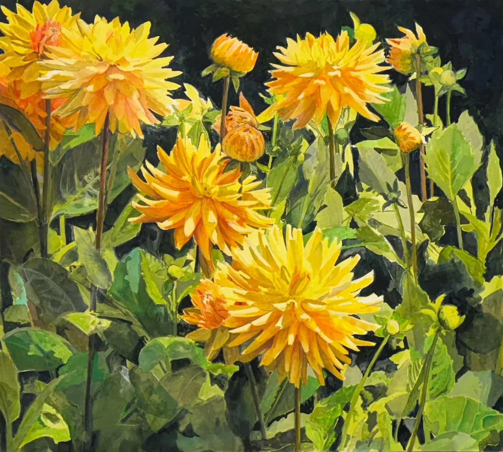 Yellow and orange dahlias in full bloom rendered in acrylic with luminous petals and green foliage.