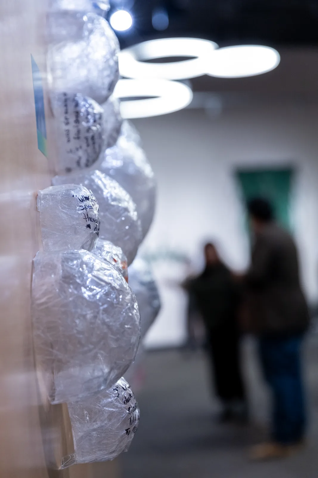 A translucent glass sculptural installation catches overhead lighting in a gallery setting.