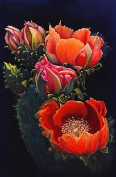 Red and pink cactus flowers in bloom rendered in vibrant pastel against a deep midnight background.