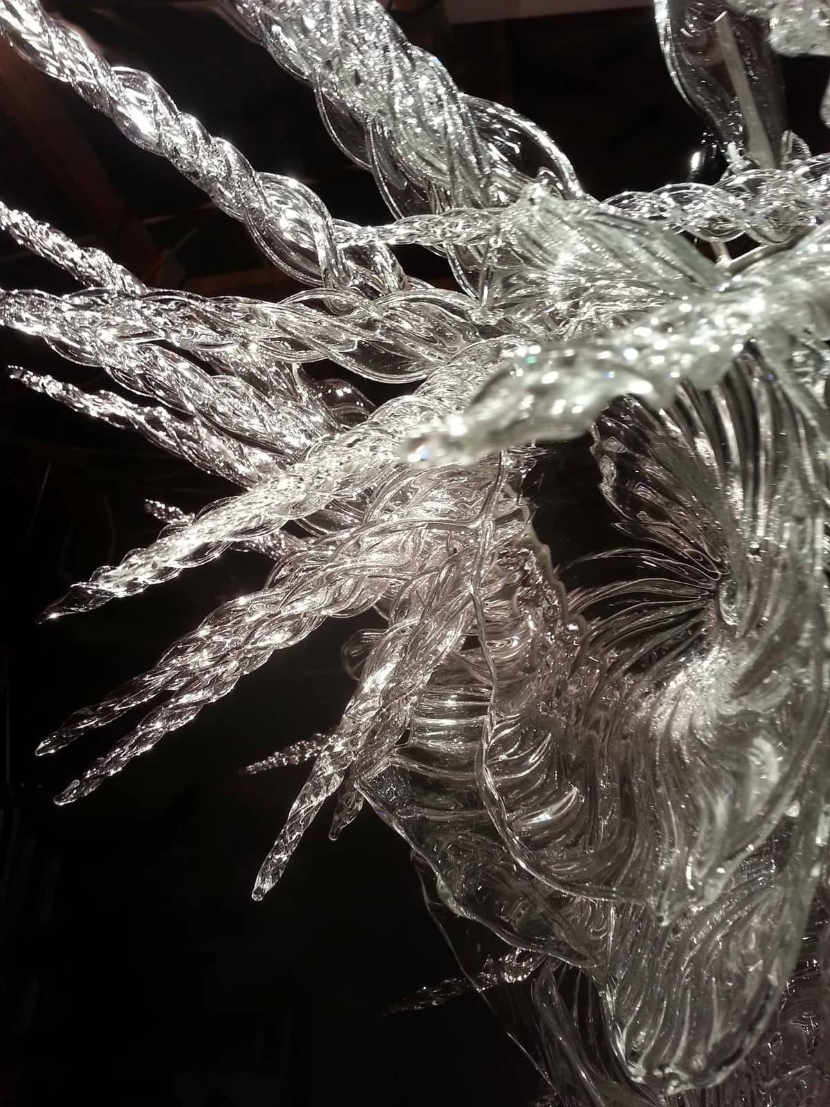 Translucent glass sculpture with organic, branching forms lit against a black background.
