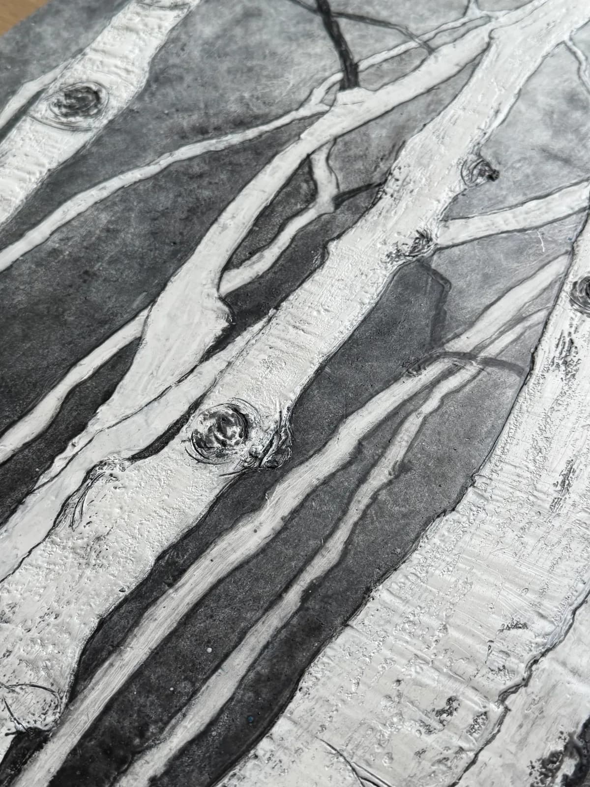 Close-up monochrome photograph of birch tree bark with peeling white and gunsmoke gray layers.