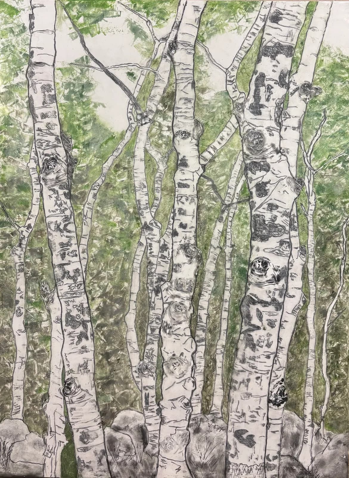 Detailed ink drawing of birch tree trunks with lichen and forest foliage rendered in green and gray tones.