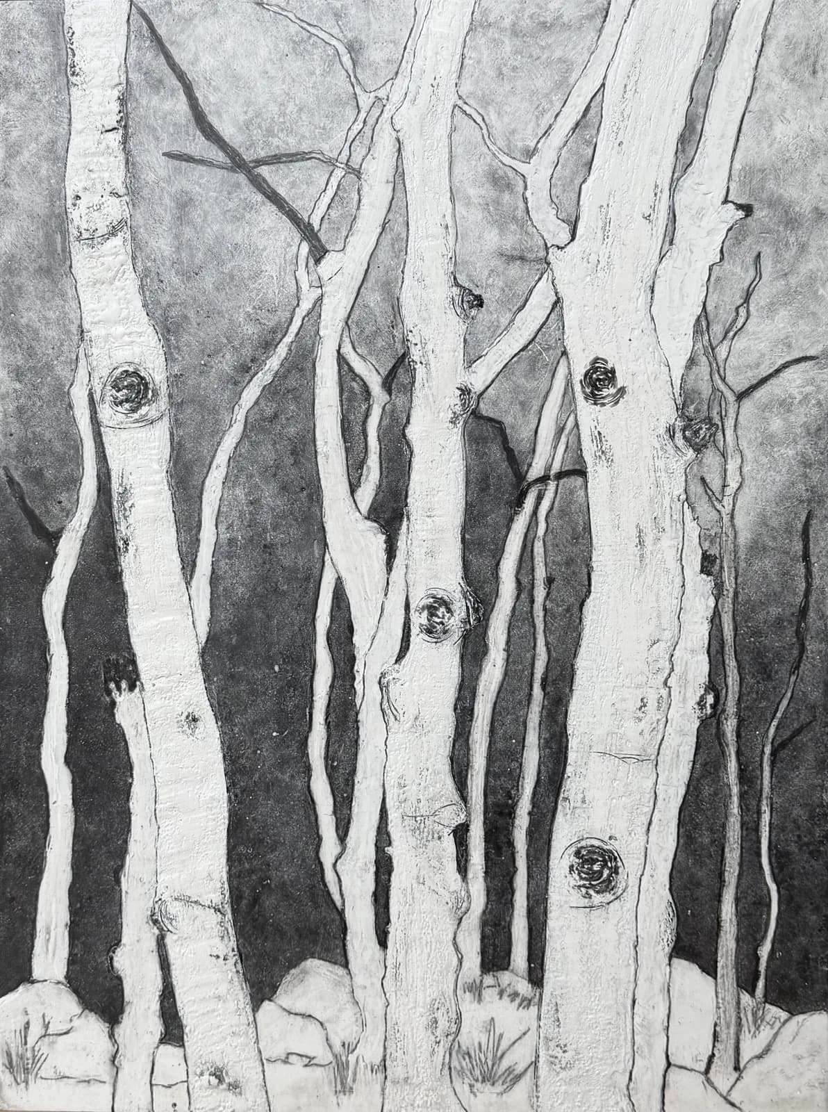 Detailed pencil drawing of birch tree trunks with characteristic white bark and dark knots against a gray background.