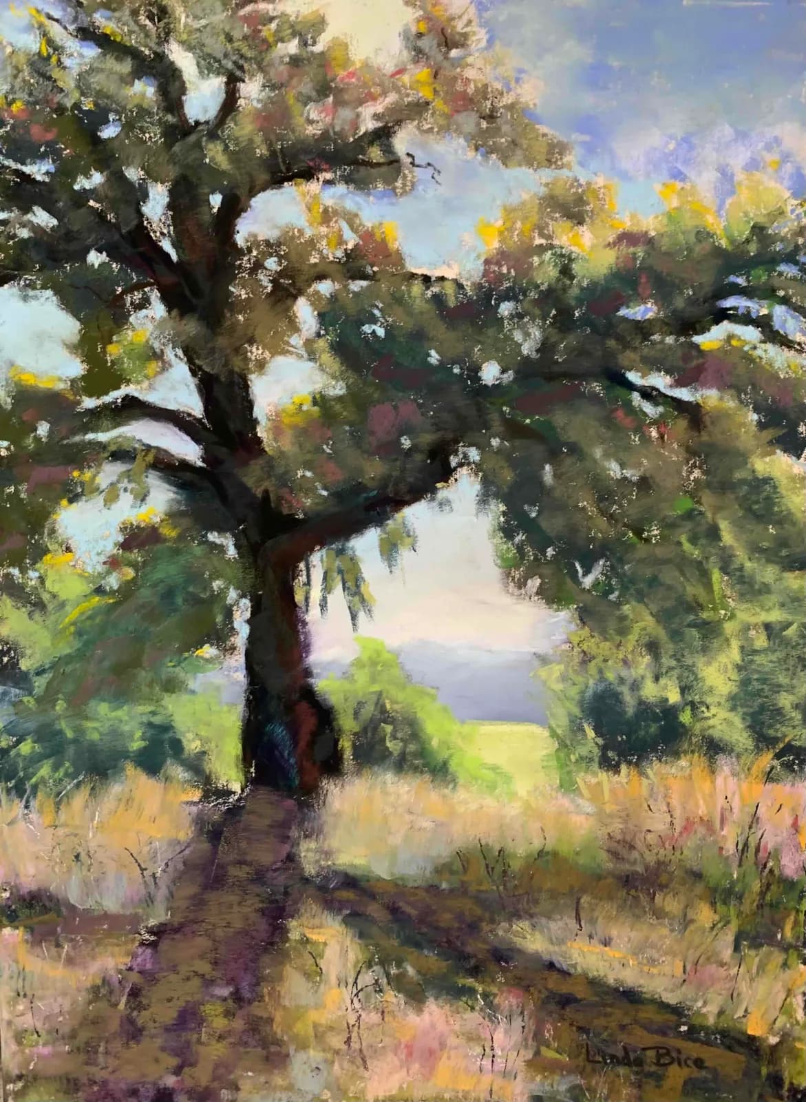 Work by Linda Bice