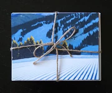 A two-panel acrylic painting depicts a snow-covered landscape with barren tree and distant ski slopes in havelock blue and gray tones.
