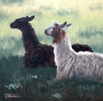 Two alpacas in a misty green pasture, rendered in oil with soft impressionistic brushwork.