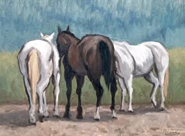 Three horses—one white, one dark brown, one pale—stand together in a pasture with muted blue-green background.