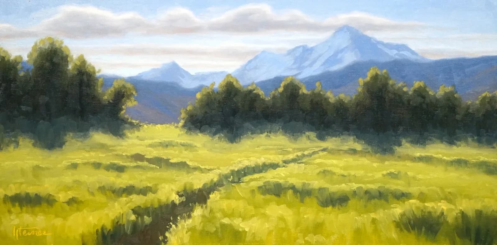 A sunlit meadow with a meandering stream and aspen grove frames the tilted Boulder Flatirons beyond.