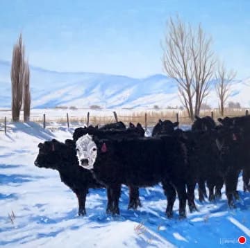 A herd of black cattle stands in snow-covered rangeland with bare trees and distant mountains under blue sky.