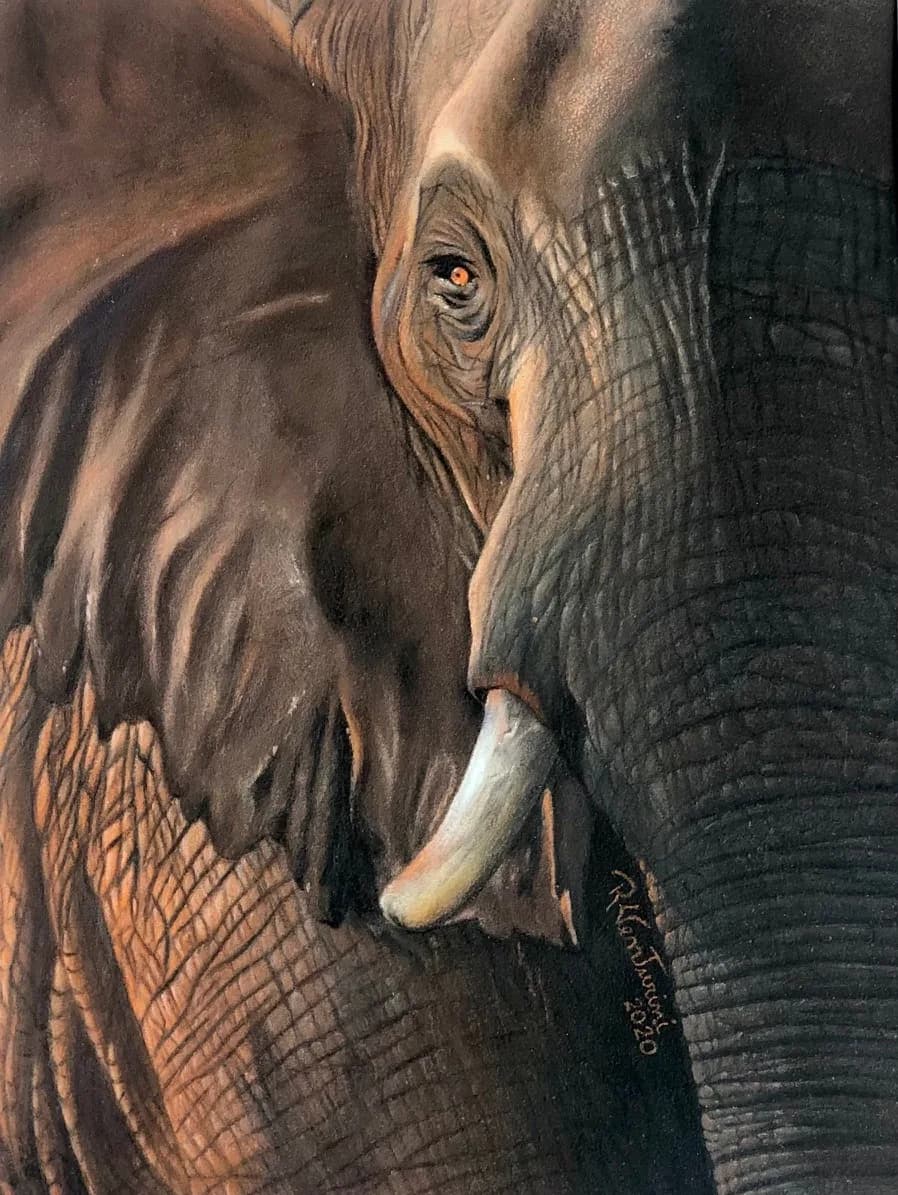 Featured artwork by Rosana Venturini