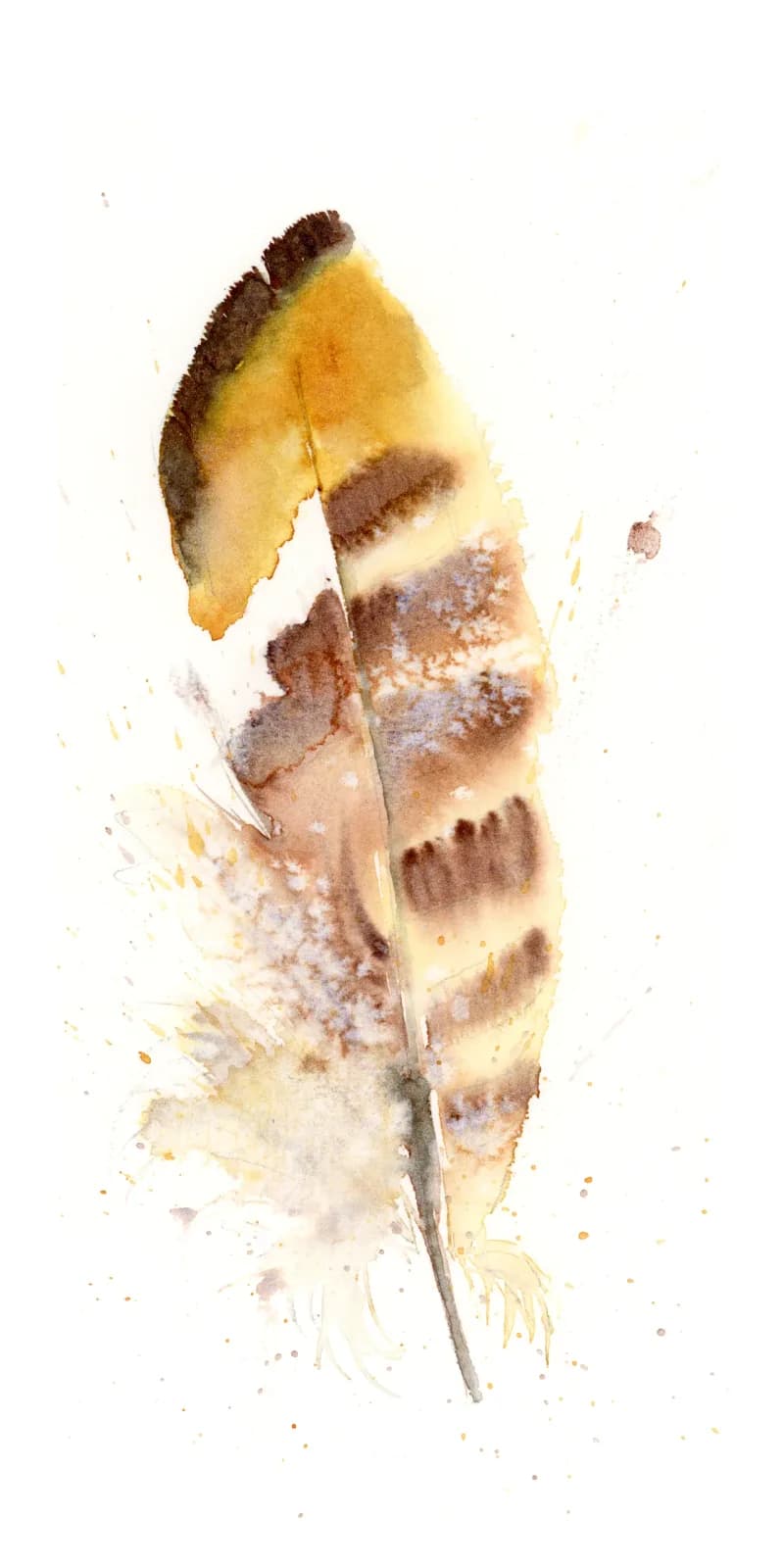 Watercolor painting of a striped feather with warm earth-tone bands and soft splashes.
