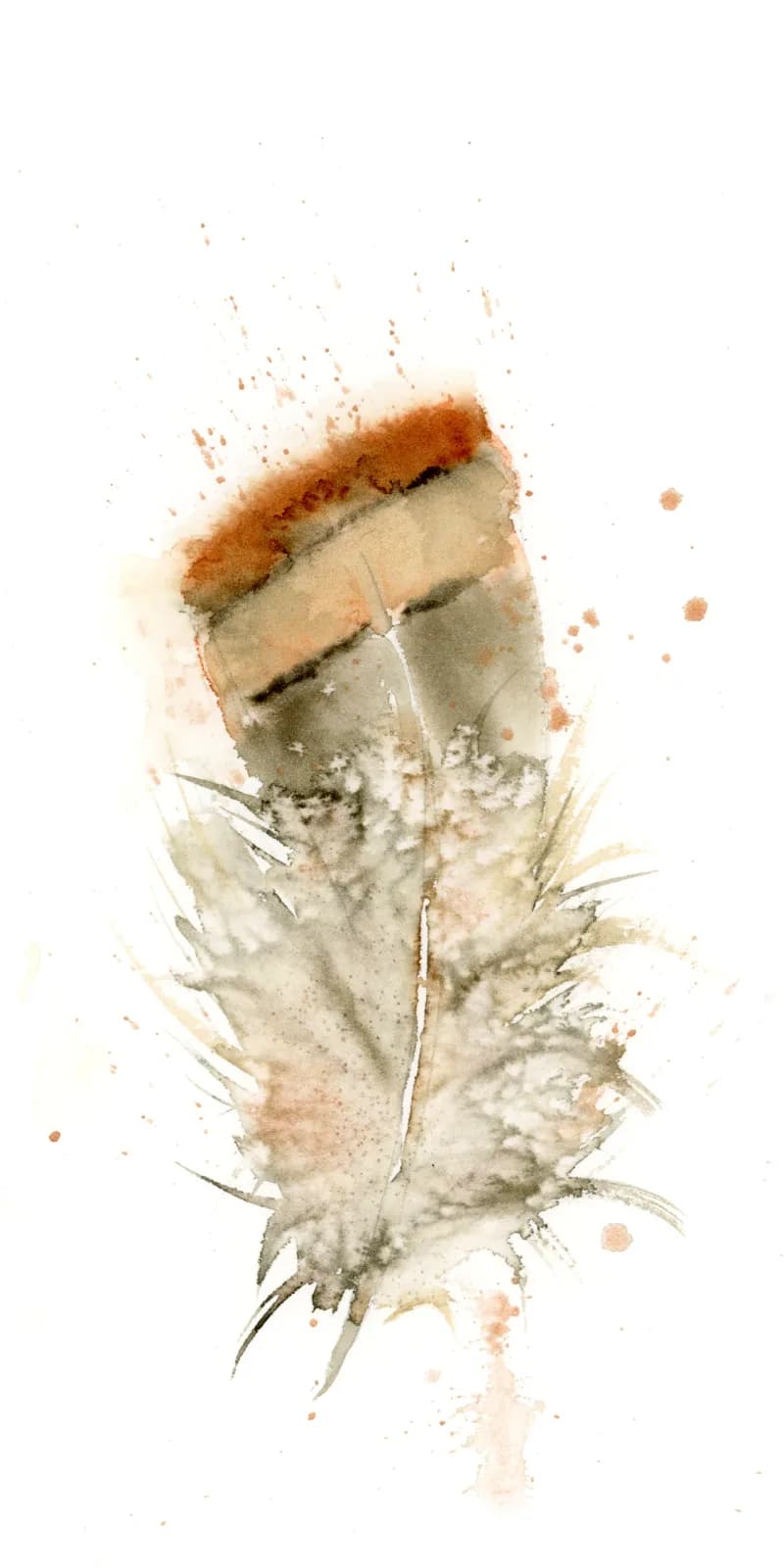 A feather rendered in watercolor with warm korma and desert tones against stark white paper.