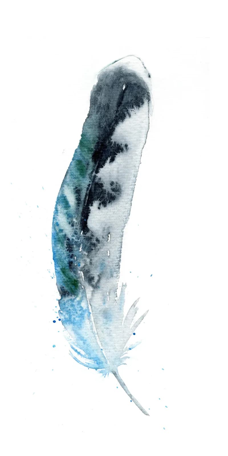 A single feather rendered in watercolor with blue, gray, and white tones against a white background.