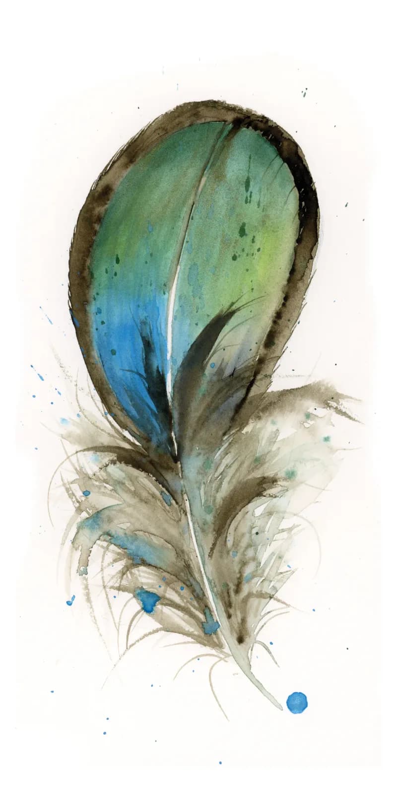 An iridescent feather rendered in watercolor, shifting from blue and green tones to warm grays.