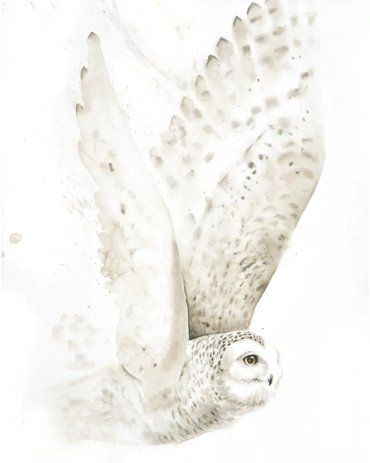 A snowy owl with wings spread in flight, rendered in watercolor with pearl and alabaster tones.