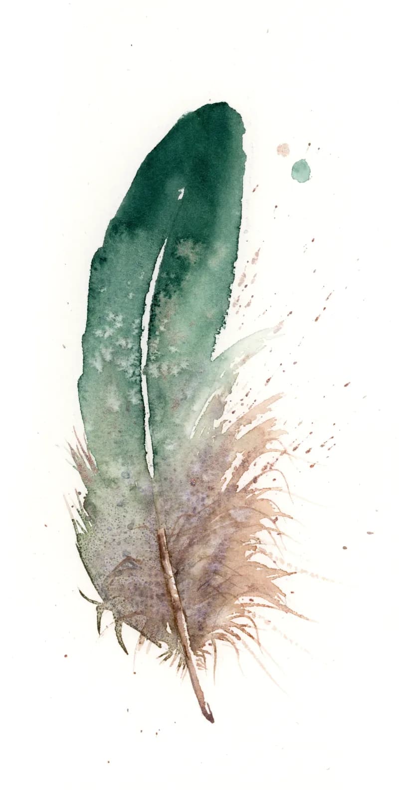 A single feather in aqua-to-beige watercolor, rendered with subtle washes and detailed barbs.