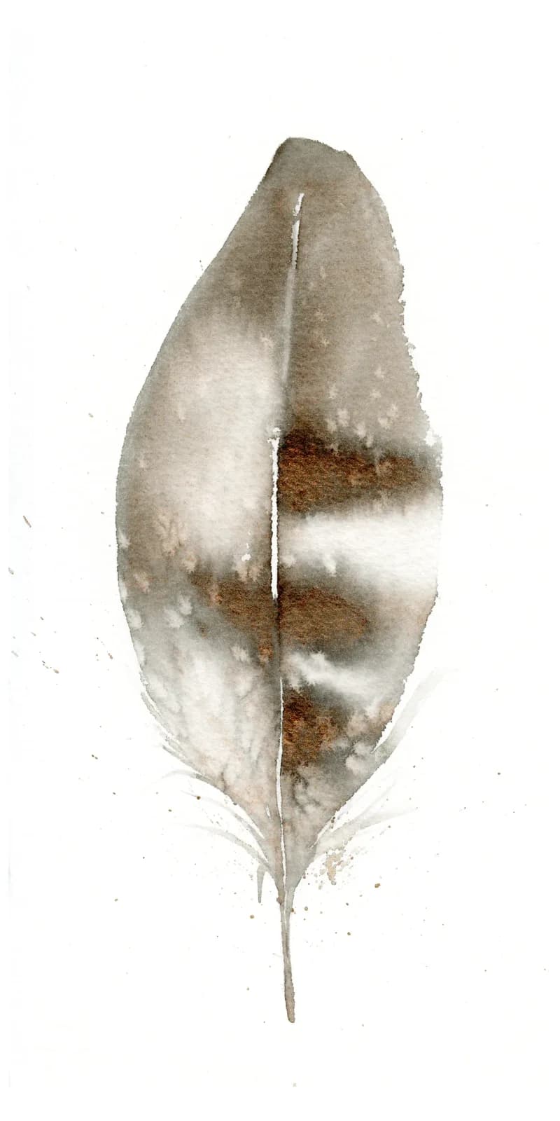 A single leaf rendered in watercolor with ash and brown tones on white paper.