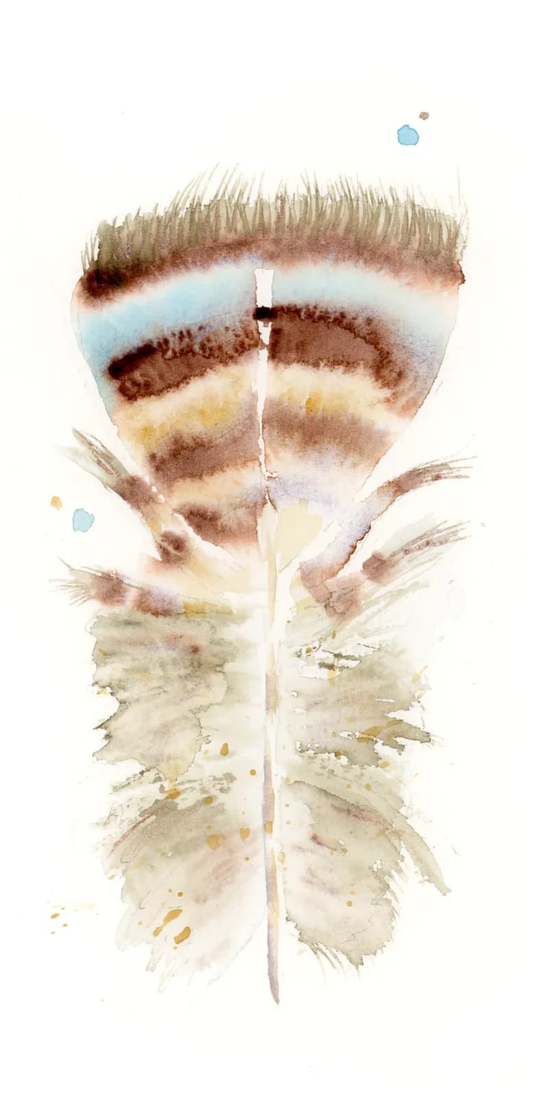 Watercolor and ink botanical study of an opened seed pod with delicate feathered wings.