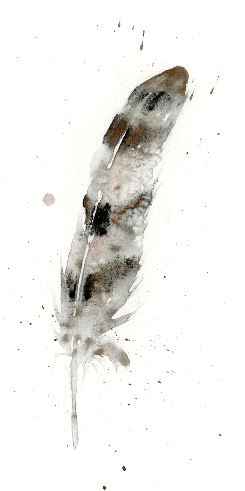 A single feather rendered in watercolor with muted tones of mist gray and romance.