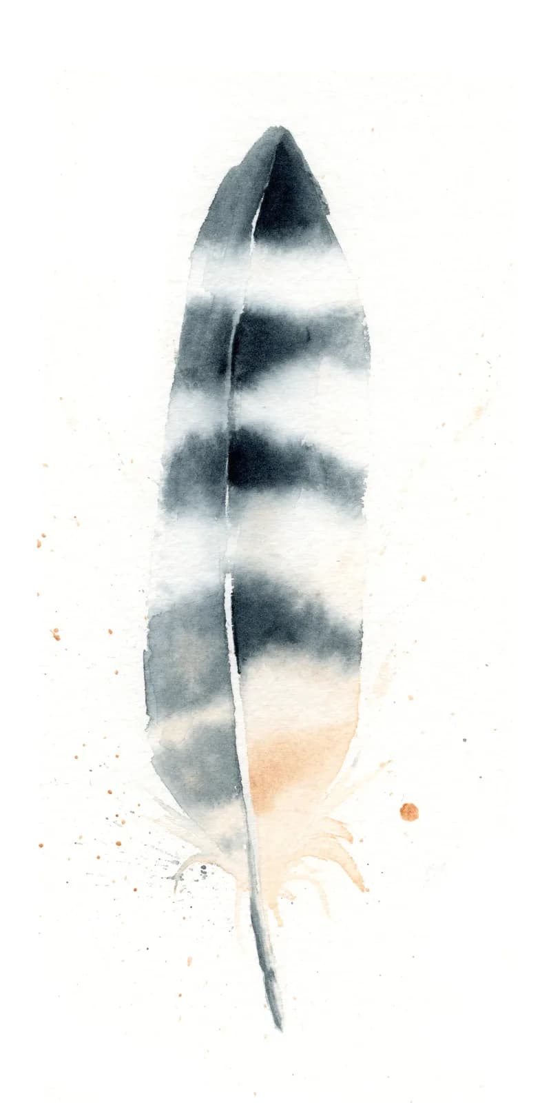 A gray feather rendered in watercolor with subtle bands of charcoal and cream tones.