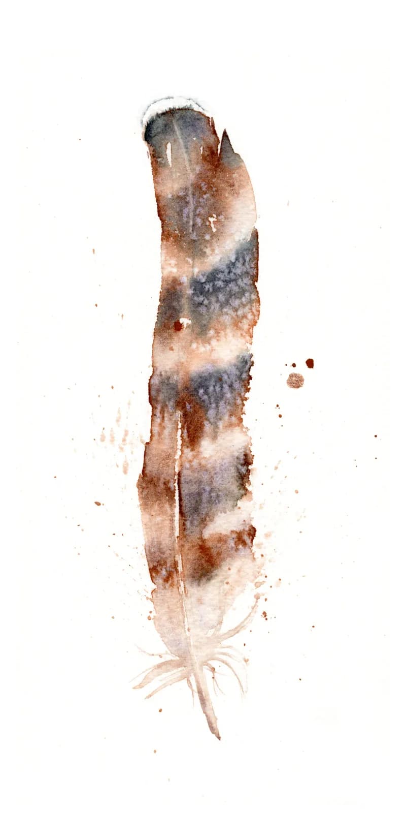 A detailed watercolor study of a feather rendered in nutmeg and potter's clay tones with fluid washes.