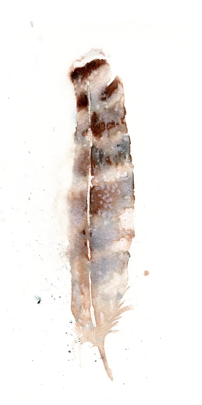 A single feather rendered in watercolor with soft amber and spice tones against white paper.