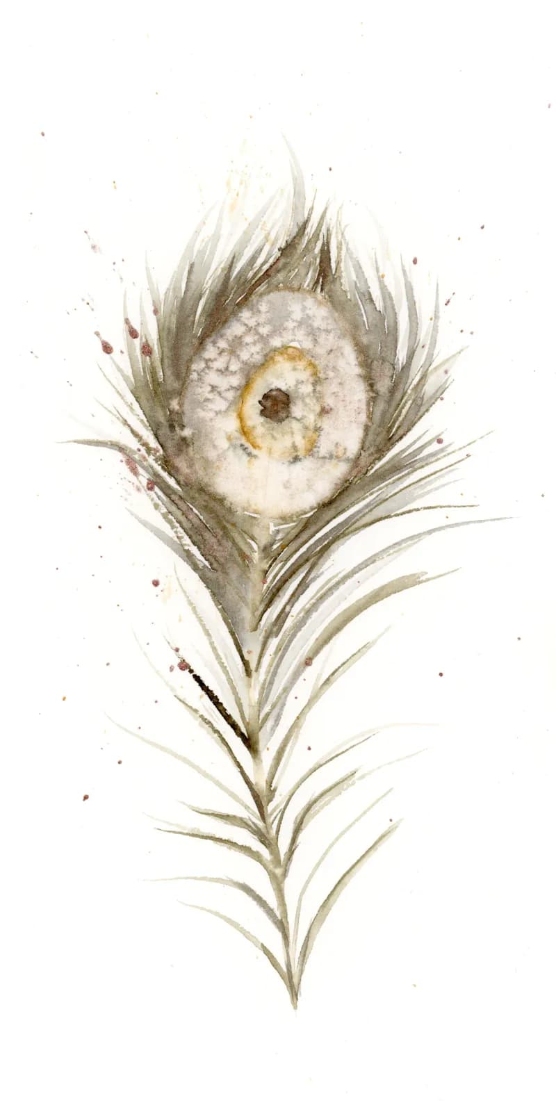 Delicate watercolor study of a peacock feather rendered in soft amber, pearl, and heathered gray tones.