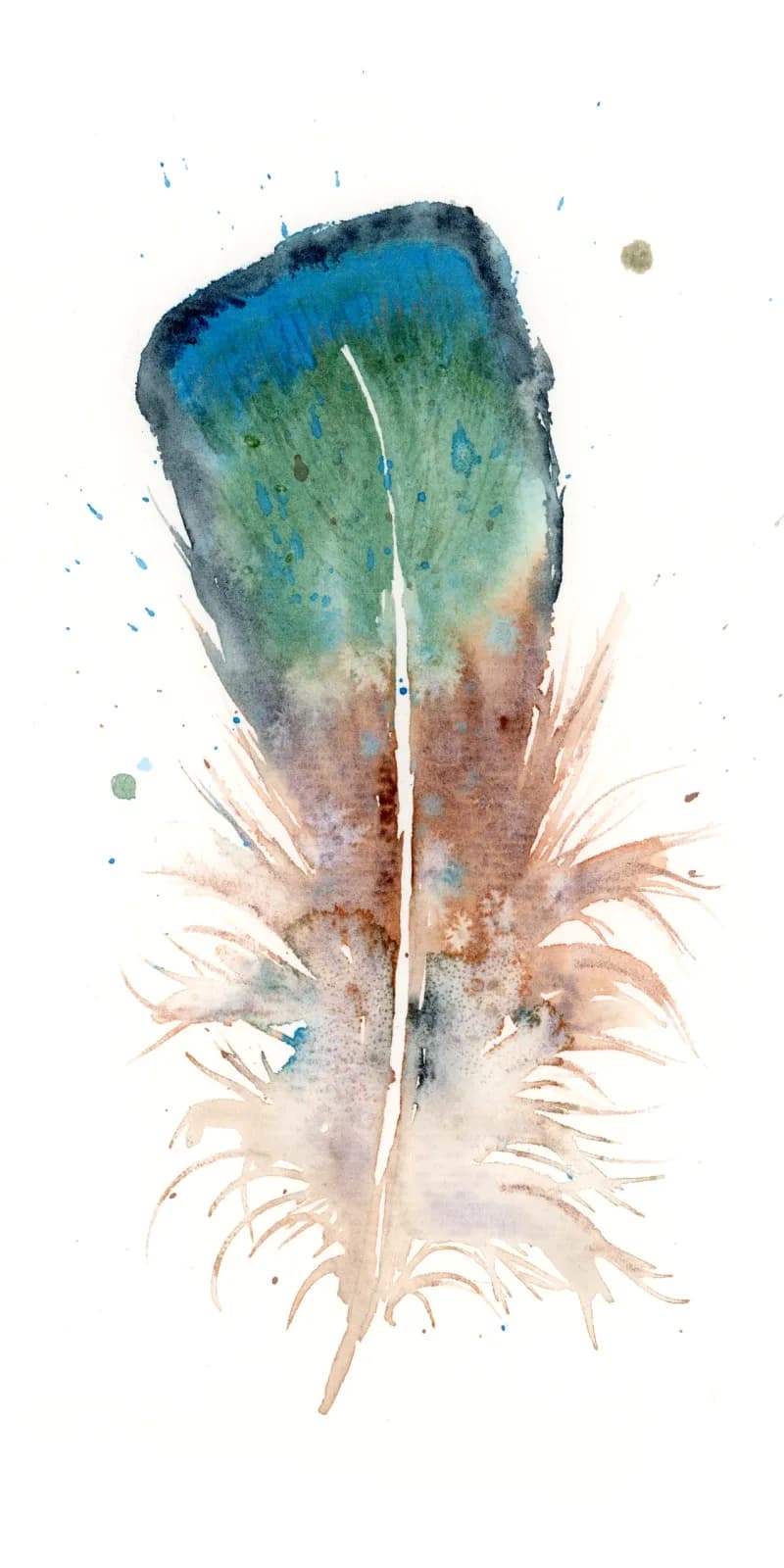 Watercolor study of an iridescent feather in Nile blue, spicy mix, and pearl wash.