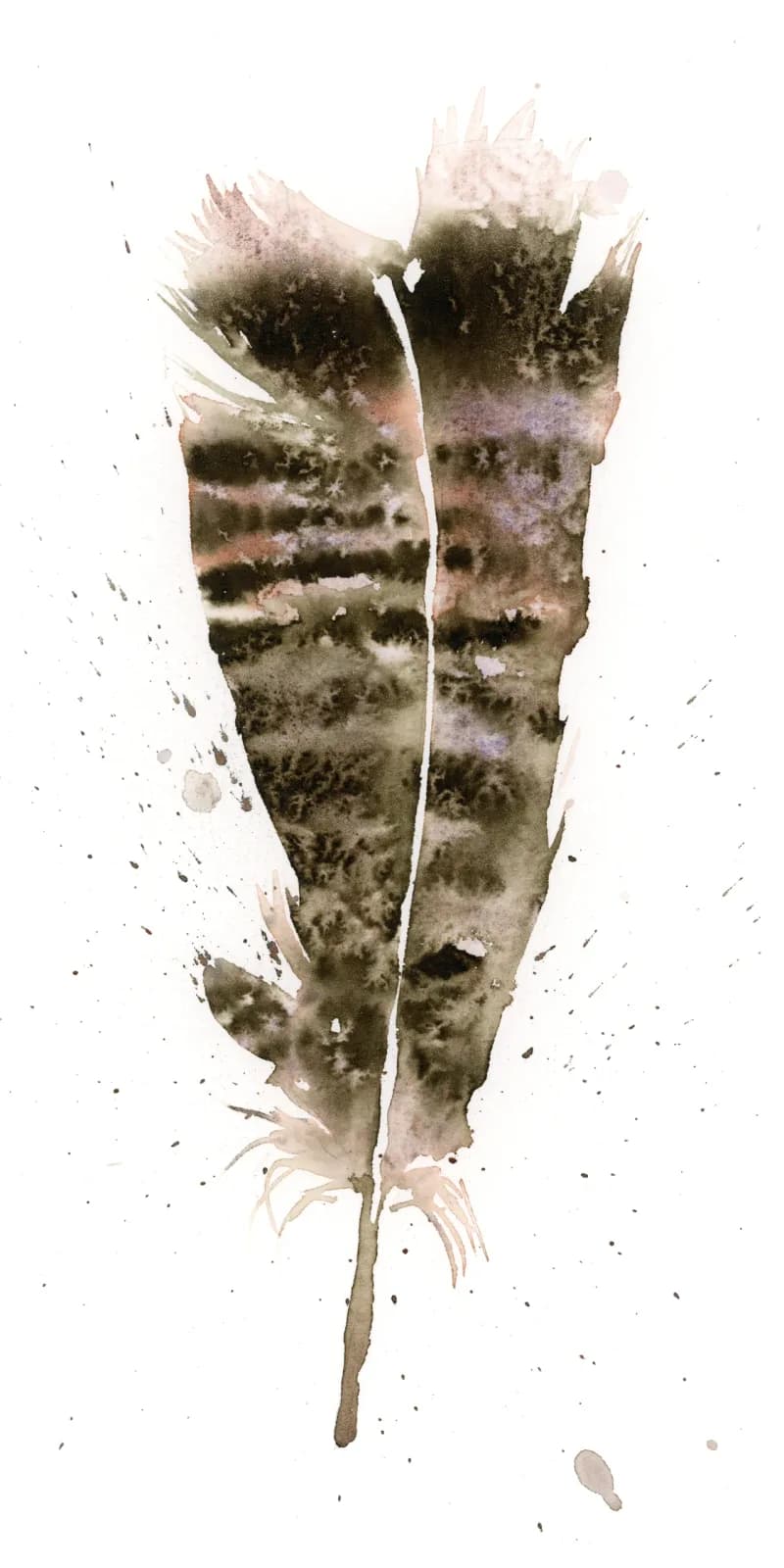 A single feather rendered in watercolor with soft tobacco and shadow tones, dissolving into atmospheric washes.