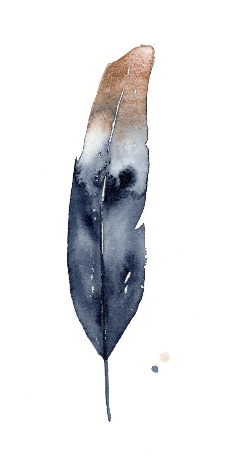 A single feather rendered in watercolor with deep navy and tan tones and subtle white highlights.