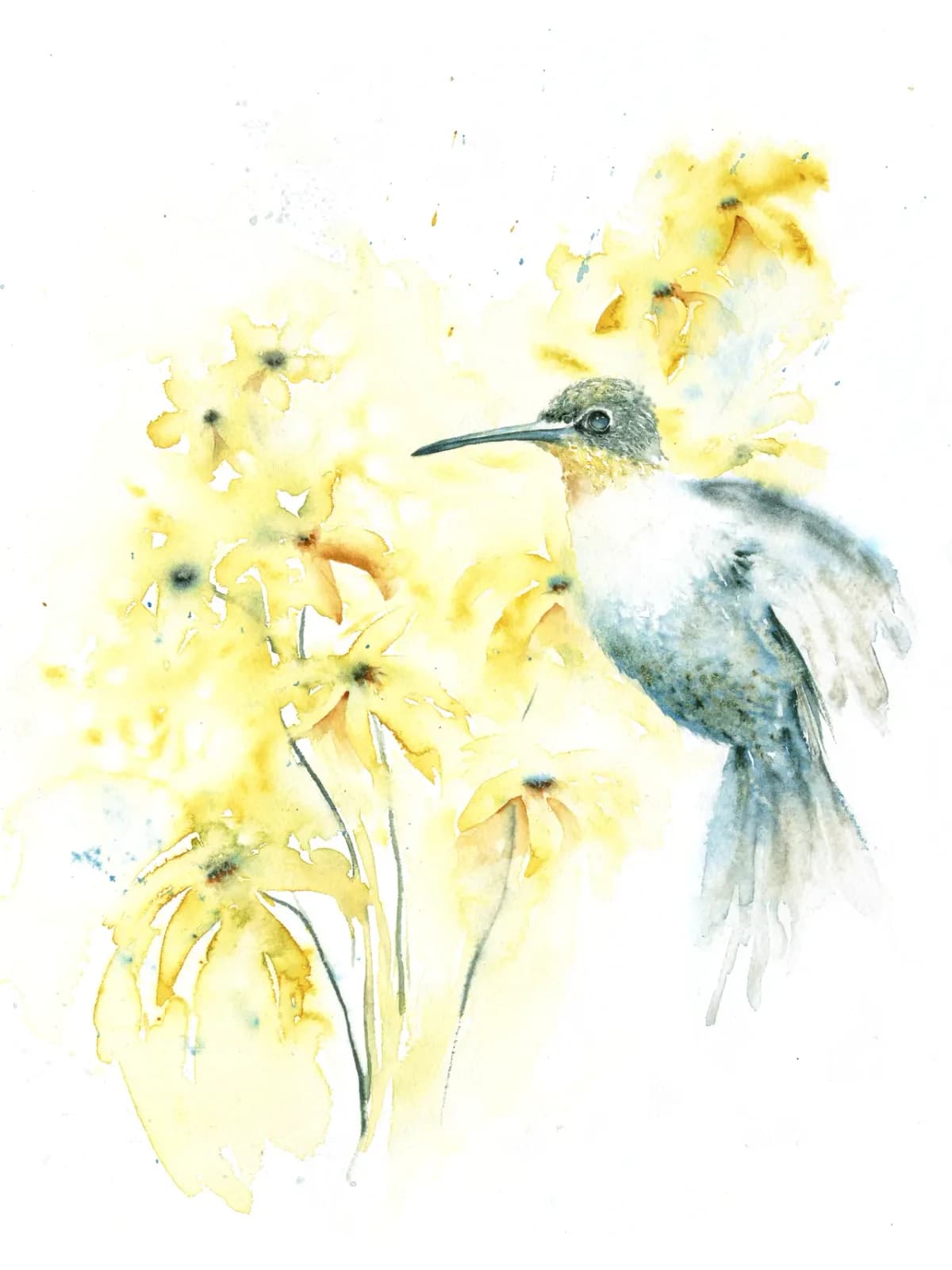 A hummingbird hovers near bright yellow flowers in watercolor, rendered in soft greens and grays.