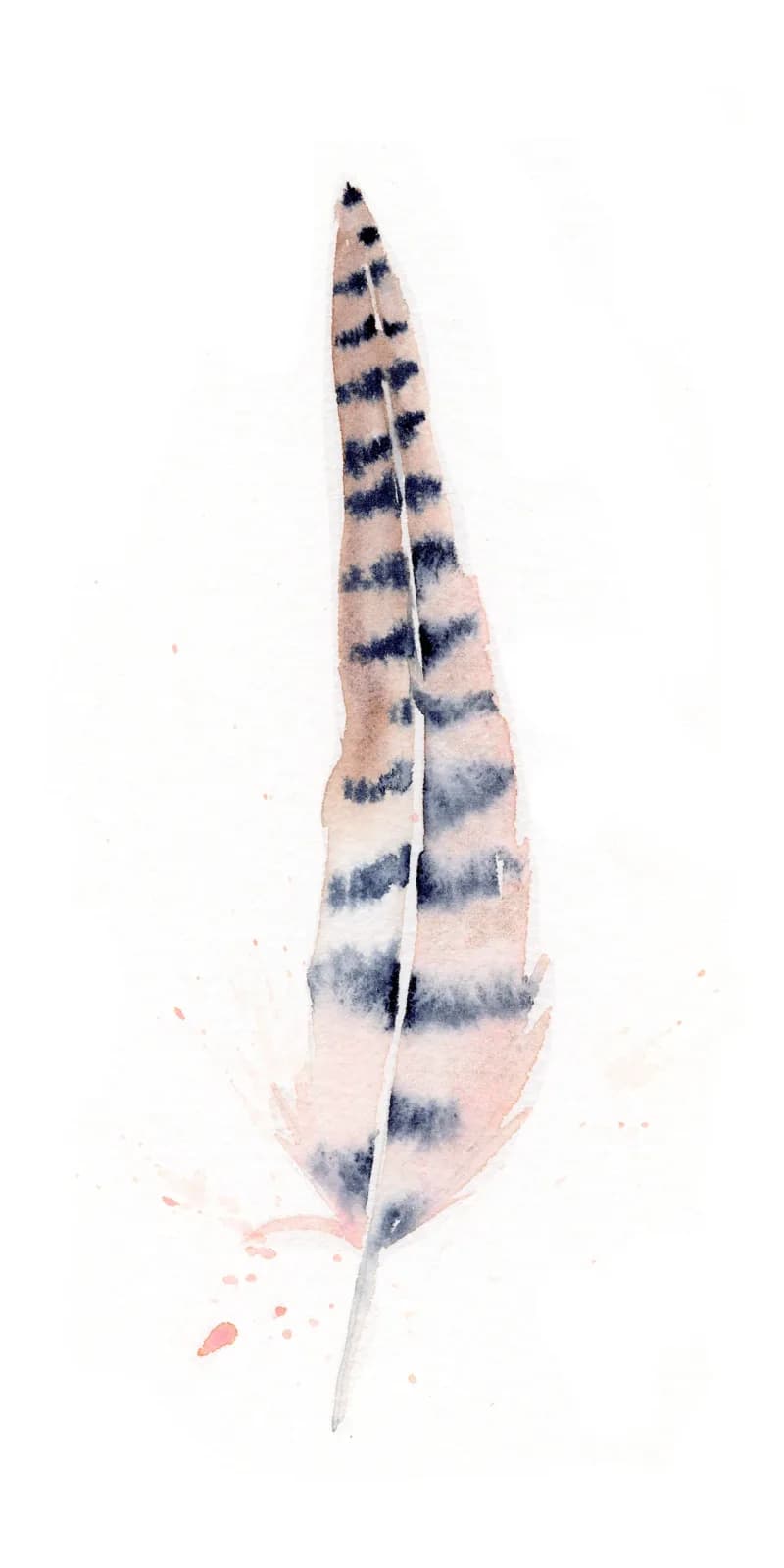 A banded feather rendered in watercolor with gunpowder and ebony tones against a wafer background.
