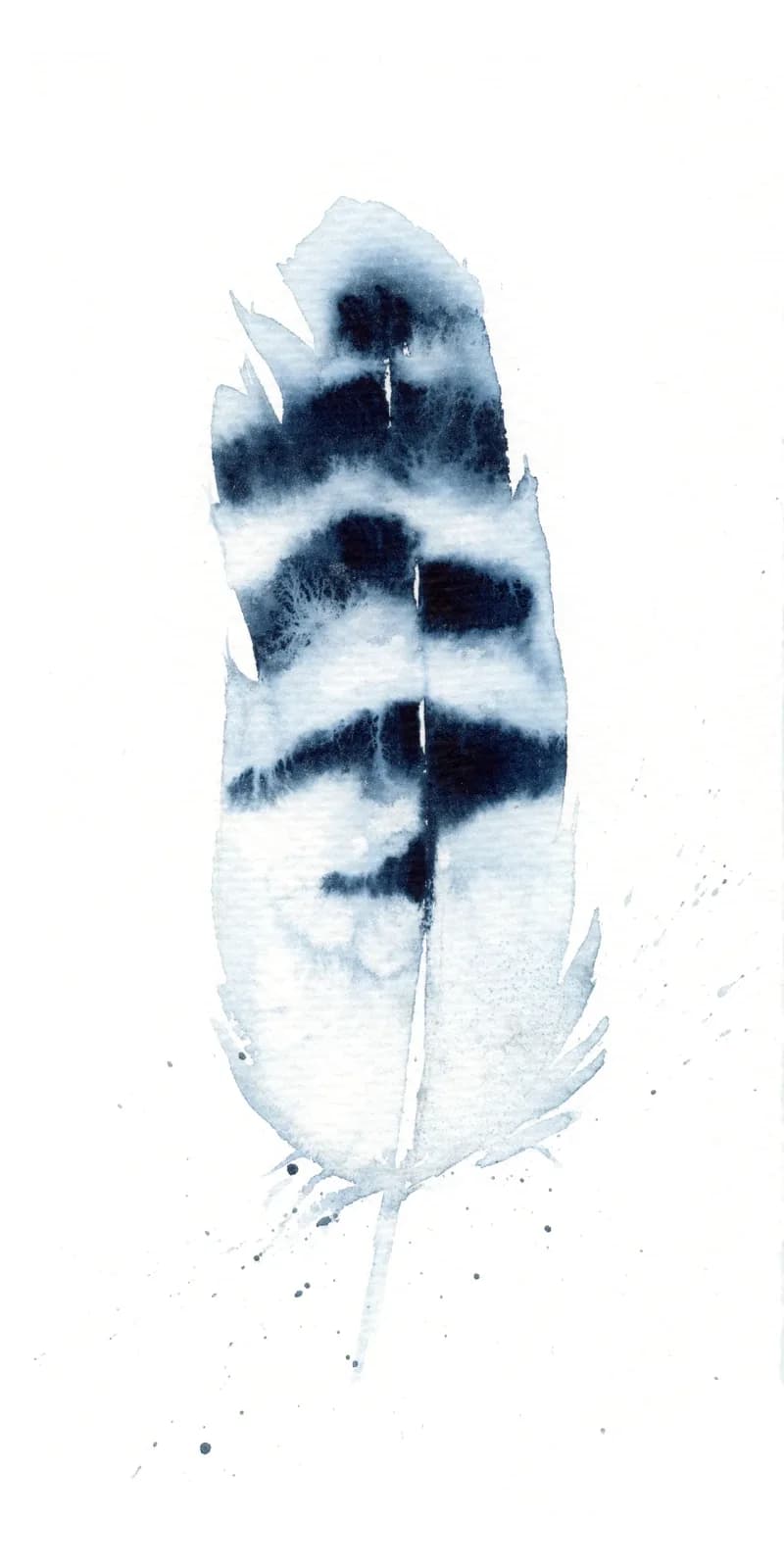 A single feather rendered in watercolor with deep indigo and gray tones against a white ground.