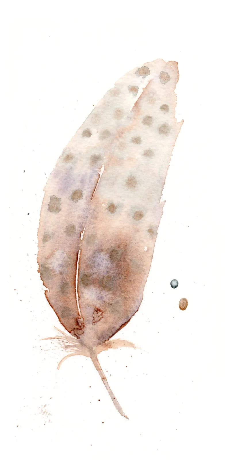 A feather rendered in watercolor with precise detail, warm earth tones and subtle speckled markings.