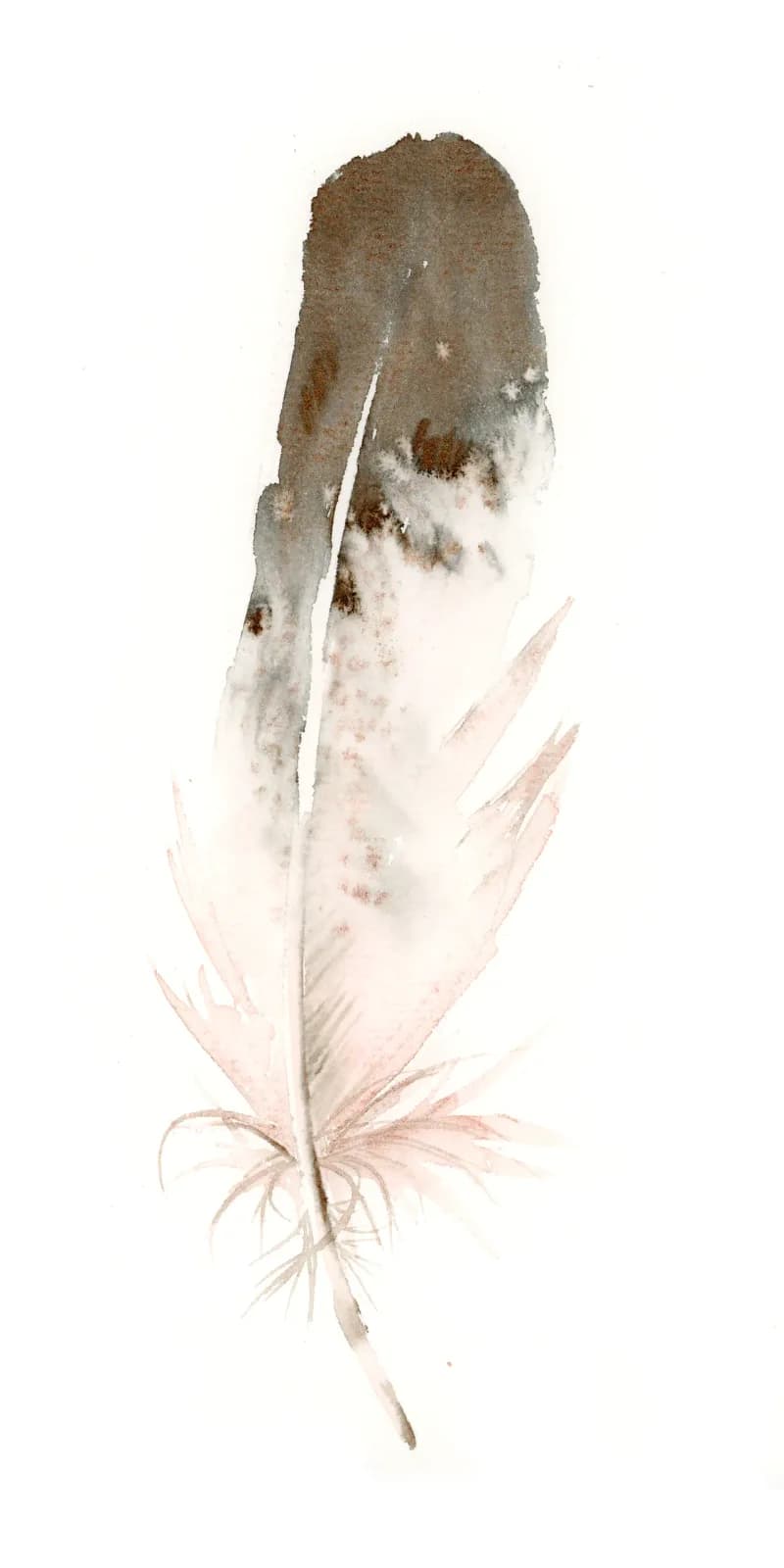 A feather rendered in watercolor with tobacco brown, pearl, and bone tones.