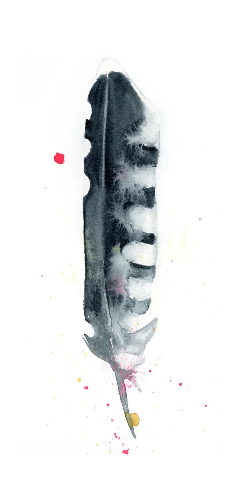 A dark-gray feather rendered in watercolor with delicate pink and golden accents on white.