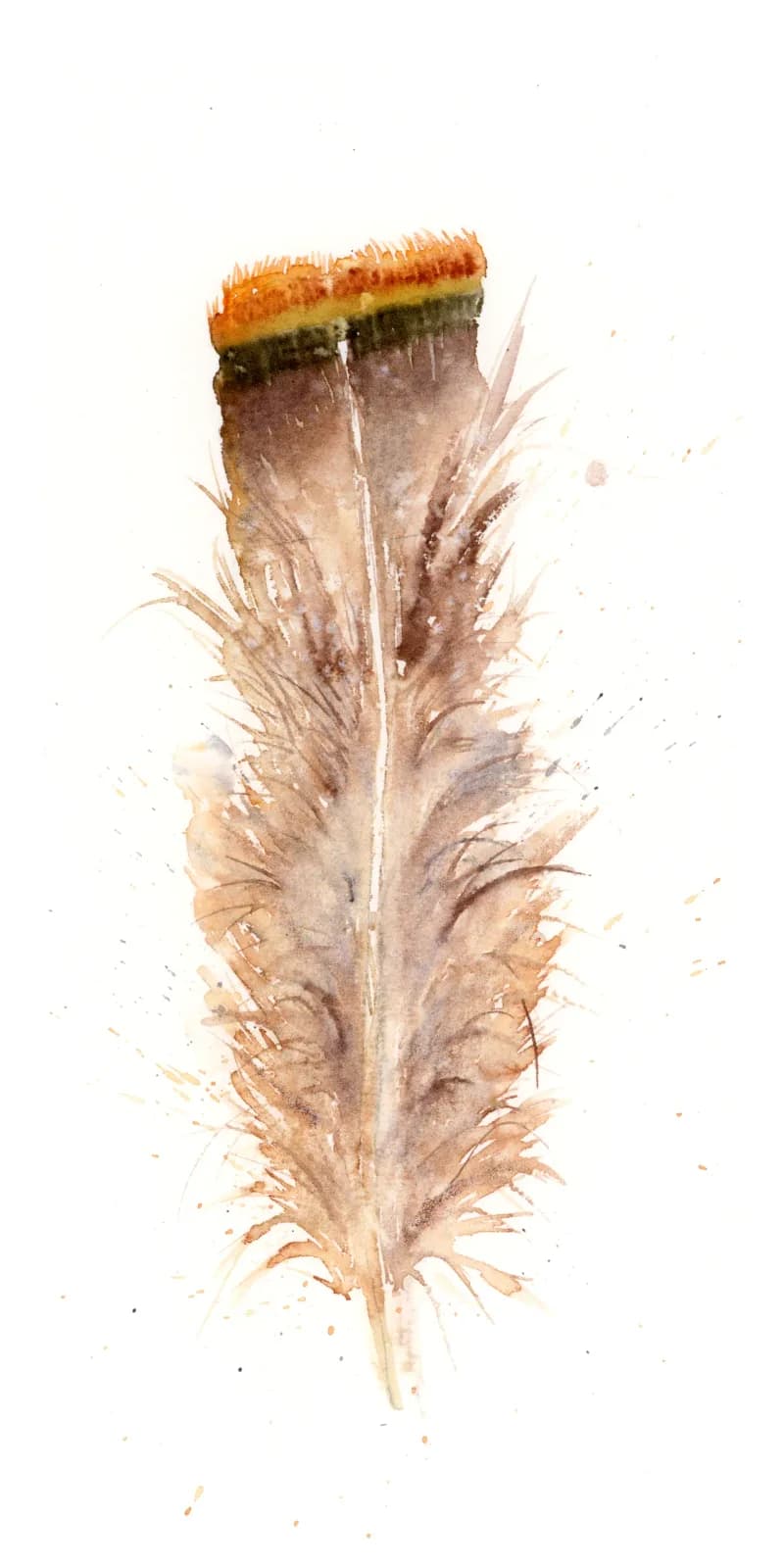 A delicate feather rendered in watercolor with warm earthy tones and fine textural detail.