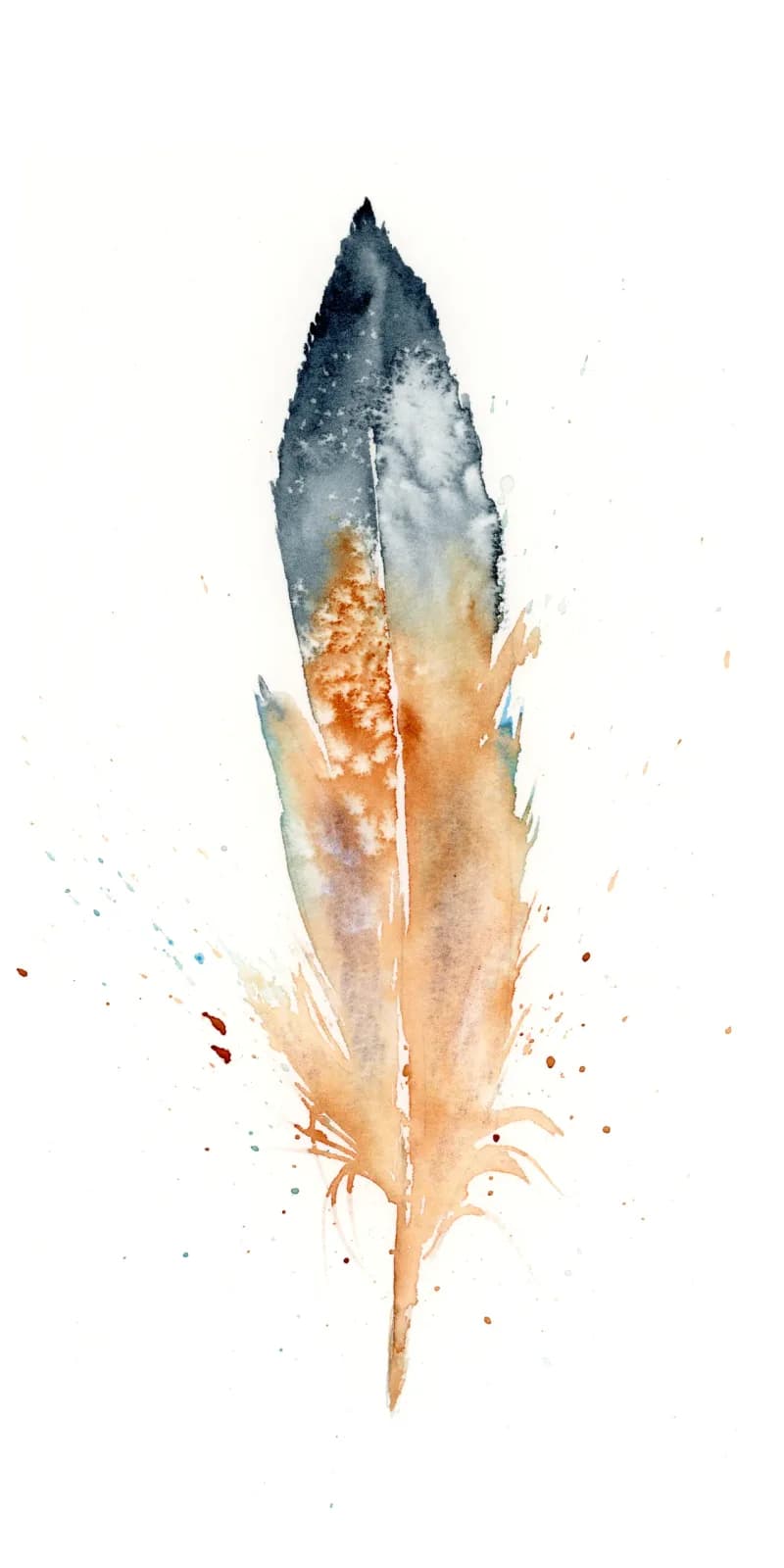 A single feather rendered in watercolor with deep blue-gray crown and warm almond and sienna tones below.