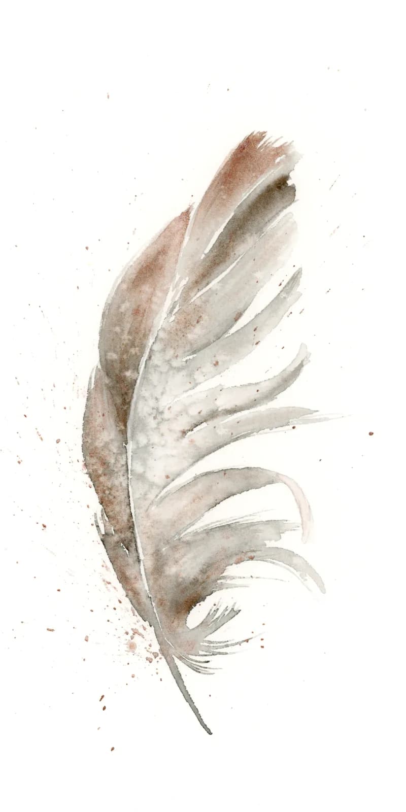 A single feather rendered in watercolor with soft brown and pearl white tones against a white background.
