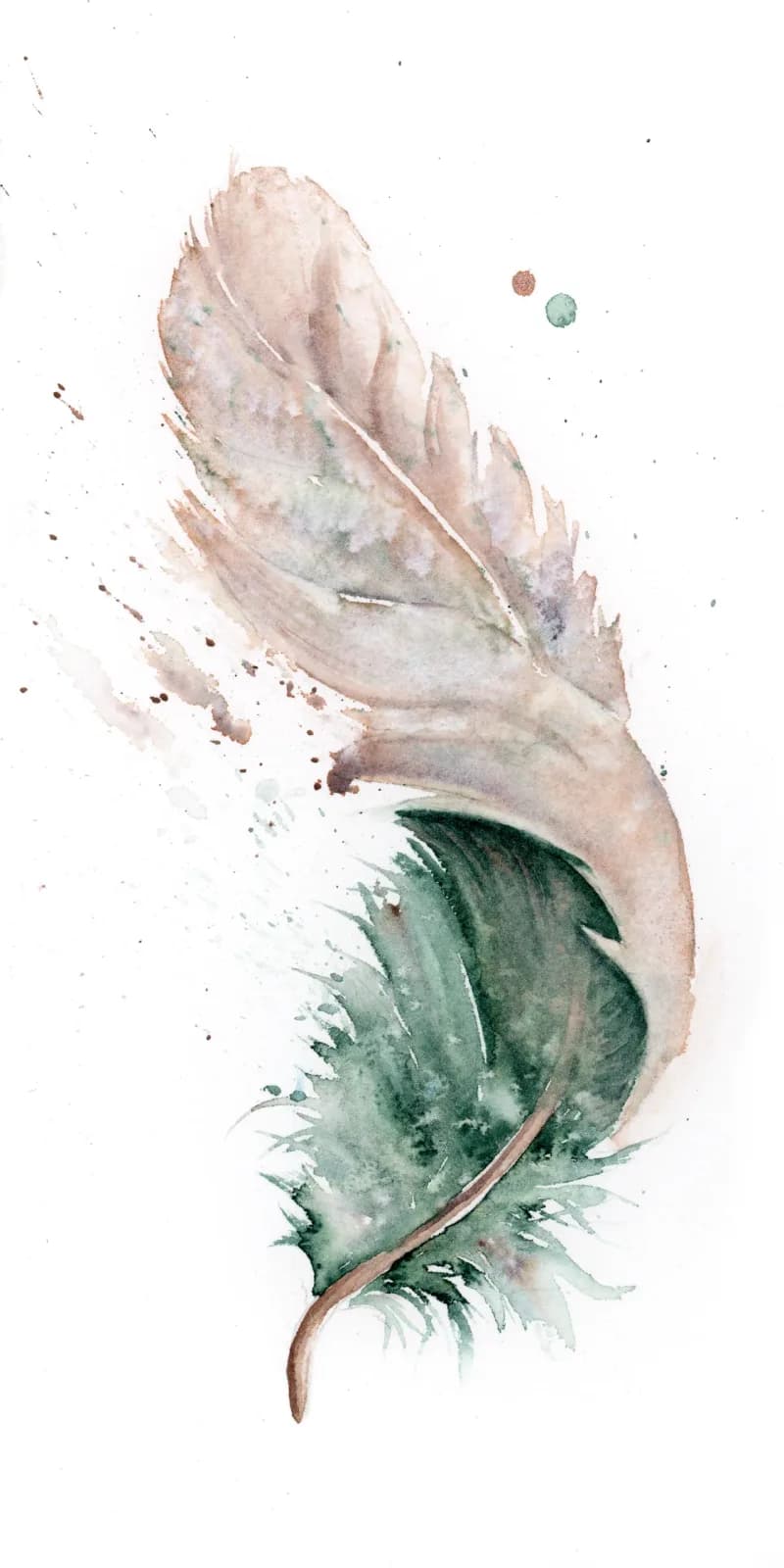 Watercolor study of two feathers in soft pink, mineral green, and white tones with dispersed floral accents.