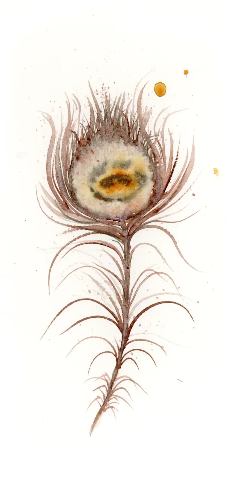 Delicate watercolor botanical study of a thistle-like flower with spiky petals and warm yellow center.
