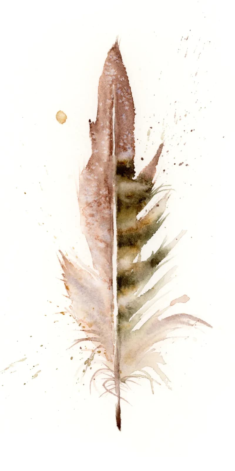 Botanical study of a dried seedpod in watercolor, rendered in muted almond and bone tones.