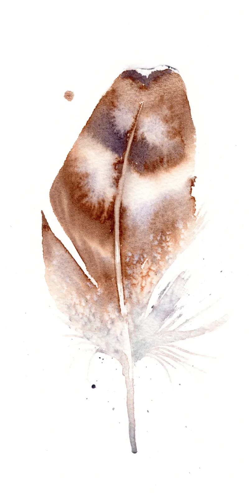 A detailed watercolor study of a single feather rendered in earthy browns and soft pinks.