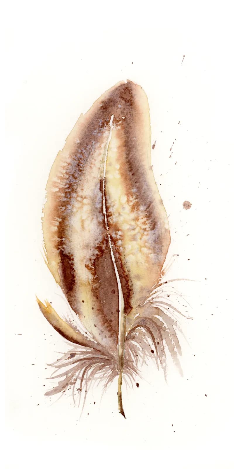 A single seed pod rendered in watercolor with earth tones and feathered detail against white paper.