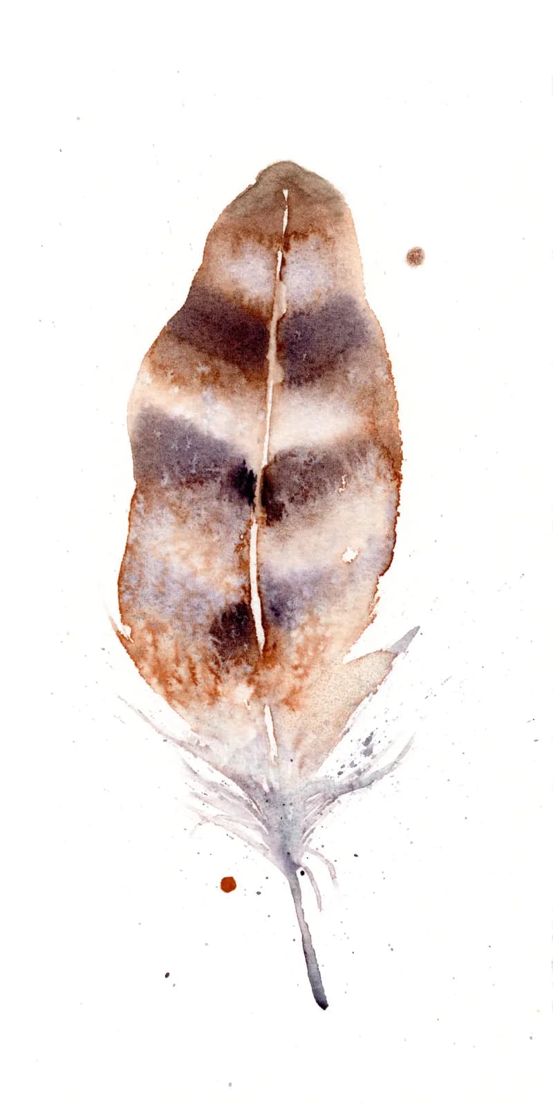 A single feather rendered in watercolor with warm cocoa bean and clam shell tones against white paper.