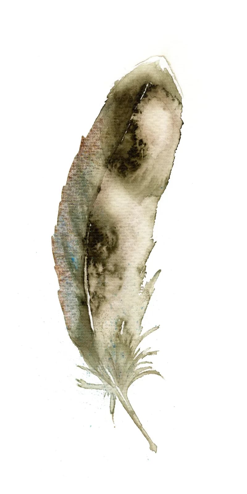 A dried seedpod rendered in watercolor with precise detail, pale cream and taupe tones against white.