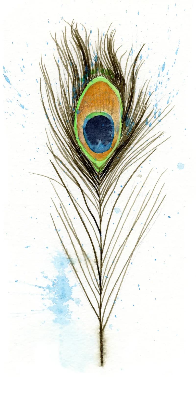A peacock feather rendered in watercolor and pen with iridescent blue, gold, and green tones.