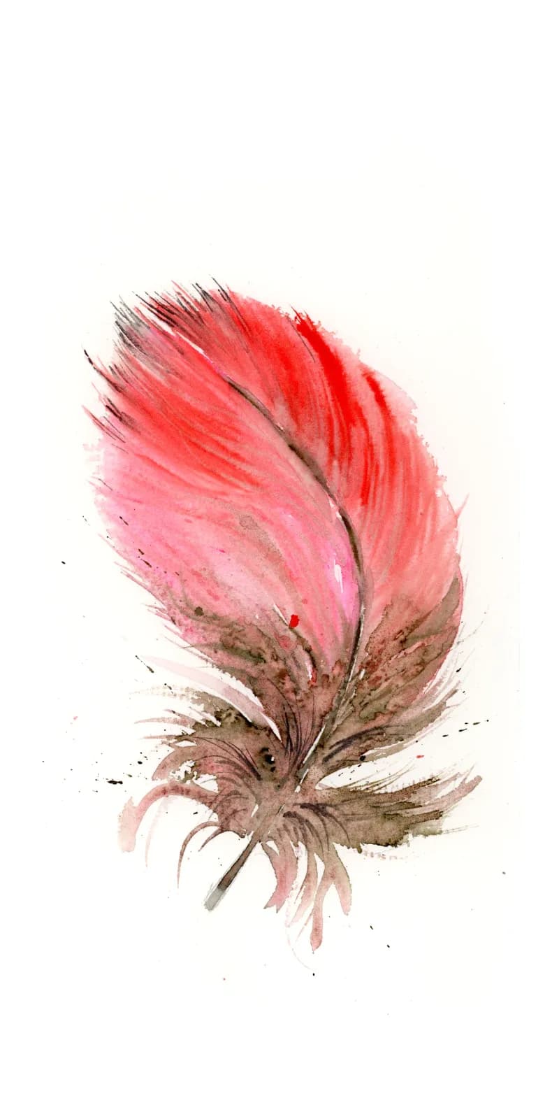 Pink and coral watercolor feather or flower rendered with soft washes and organic brushwork.