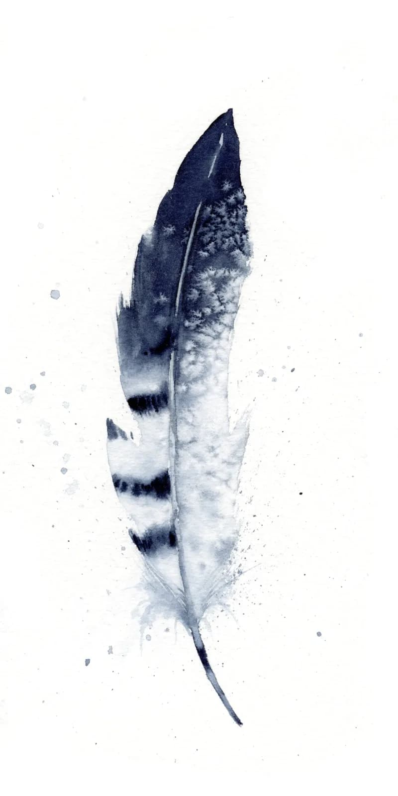 A feather rendered in gunpowder and slate gray ink with delicate spattering details.