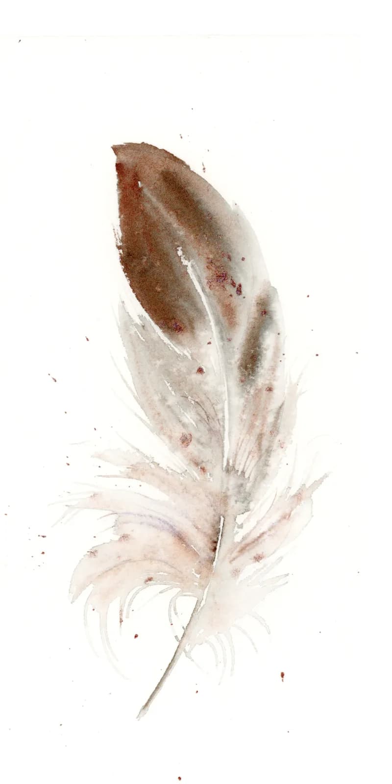 A single feather rendered in soft watercolor with earth tones, detailed barbs and a pale wash background.